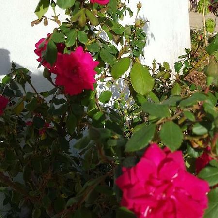 Giardini Di Lanzo Villa Martina Franca Ngoại thất bức ảnh