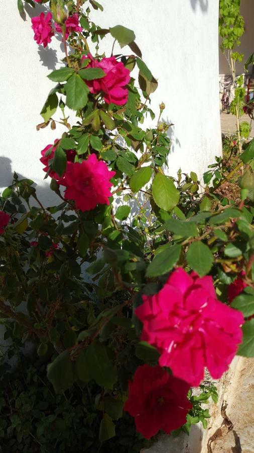Giardini Di Lanzo Villa Martina Franca Ngoại thất bức ảnh